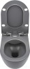 pol_pl_Miska-WC-z-deska-bezkolnierzowa-antracyt-titanium-antracyt-titanium-CDEDDZPW-4210_3.jpg