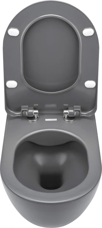 pol_pl_Miska-WC-z-deska-bezkolnierzowa-antracyt-titanium-antracyt-titanium-CDEDDZPW-4210_3.jpg
