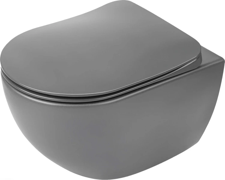 pol_pl_Miska-WC-z-deska-bezkolnierzowa-antracyt-titanium-antracyt-titanium-CDEDDZPW-4210_4.jpg