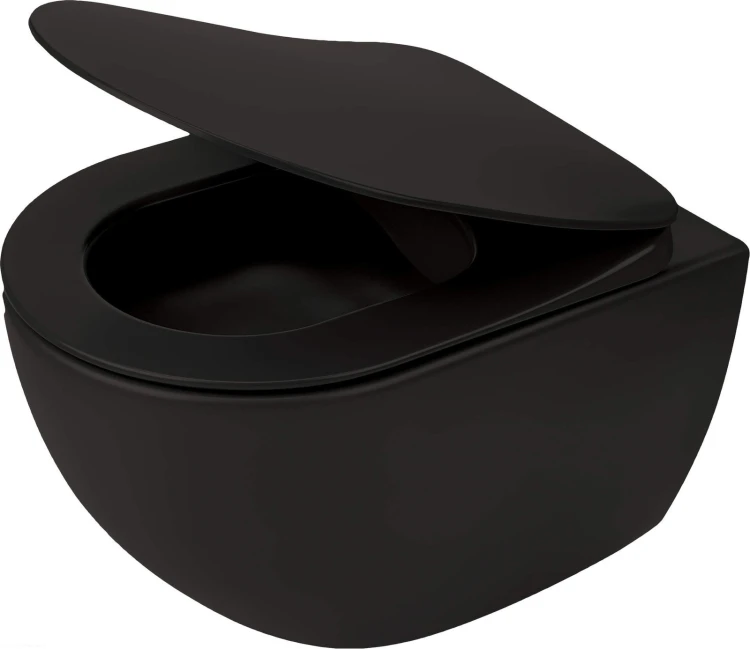 pol_pl_Miska-WC-z-deska-bezkolnierzowa-nero-nero-CDEDNZPW-4211_1.jpg