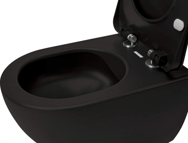 pol_pl_Miska-WC-z-deska-bezkolnierzowa-nero-nero-CDEDNZPW-4211_2.jpg