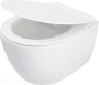pol_pl_Miska-WC-z-deska-bezkolnierzowa-bialy-bialy-CDLD6ZPW-4253_1.jpg