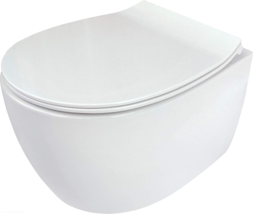 pol_pl_Miska-WC-z-deska-bezkolnierzowa-bialy-bialy-CDLD6ZPW-4253_2.jpg