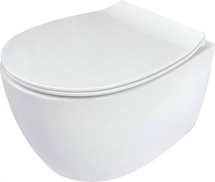 pol_pl_Miska-WC-z-deska-bezkolnierzowa-bialy-bialy-CDLD6ZPW-4253_2.jpg