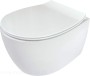 pol_pl_Miska-WC-z-deska-bezkolnierzowa-bialy-bialy-CDLD6ZPW-4253_2.jpg