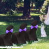 bee7411ef36200632b0a64c3d31c7e69.png
