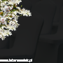 2885a77e81aa617220fa327d6d650339.png