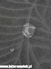 ad44d7673361936fdb169738a283c631.png