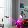 Lampka-biurkowa-PLANTY-CLIP-W-1xE27-biala-Kobi-Kod-producenta-KDSN00000075.jpeg