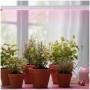 lampa-do-roslin-led-growly-9w-kobi-design-3aee0004edc2449394199676ee1d1b3e-4f88e341.jpg