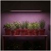 lampa-do-roslin-led-growly-2x8-5w-kobi-design-0a57386ffcae44d6ab7d04d5ff186d32-6687621e.jpg