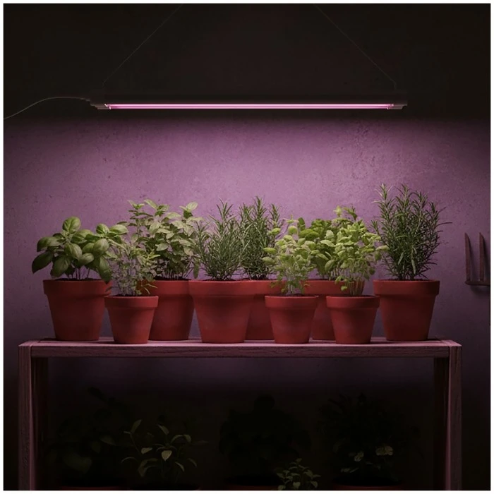 lampa-do-roslin-led-growly-2x8-5w-kobi-design-0a57386ffcae44d6ab7d04d5ff186d32-6687621e.jpg