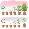 lampa-do-roslin-led-growly-2x8-5w-kobi-design-b7b41c76628a4980a4f03ec63160a39e-f8e3f7bd.jpg