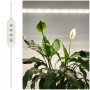 przewod-ze-sterownikiem-led-growly-pc-3m-kobi-design-7f03a7f4b4e049e9822c26960e653010-02a9fb8c.jpg