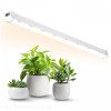 lampa-do-roslin-led-growly-15w-kobi-design-5c5b2b73c72b4d389bc83648ecd2ca51-c345e947.jpg