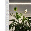 lampa-do-roslin-led-growly-15w-kobi-design-9811002a88c04717b2baec517448404a-24fdc440.jpg
