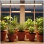 lampa-do-roslin-led-growly-15w-kobi-design-5c968f5aef4d499986513a15a06bfa7c-24fdc440.jpg