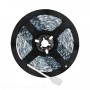 tasma-led-play-set-10m-rgb-ip20-kobi-design-b809724a956a494bbd601309207a4e63-a9478d56.jpg