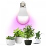 zarowka-do-roslin-led-planty-gs-11w-e27-1200k-kobi-design-a70970c68c204b338bb837dfdc27cb20-9a2aacb7.jpg