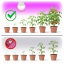 zarowka-do-roslin-led-planty-gs-11w-e27-1200k-kobi-design-324fe56052dd4eb0ade82f37e4aa3fd4-5cecd534.jpg