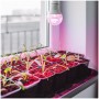 zarowka-do-roslin-led-planty-gs-11w-e27-1200k-kobi-design-f7d2486beffa484cad31e9e8c2d74516-7424cd9b.jpg