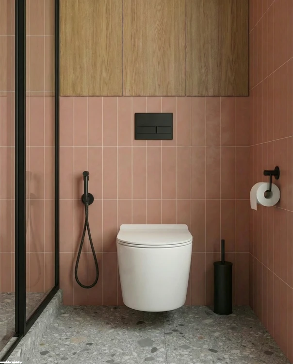 MIIRi-ALM_720S-ALM_750S-JARI-VMJ_609S_142177.png