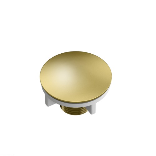 Zaslepka-do-otworu-pod-baterie-PVD-zloty.jpg