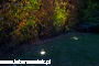 Zrzut ekranu 2021-04-27 o 10.54.56.png