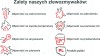 69cd72cd4f5ab3d39091bc4aa553