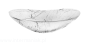 Zrzut ekranu 2024-12-14 o 21.07.52.png